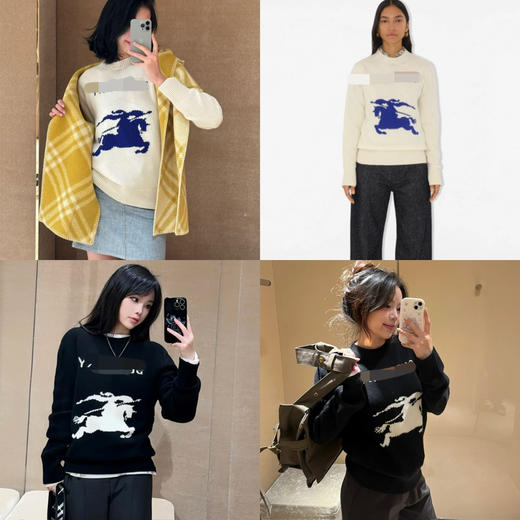 1017-3 独家圆正 25新色 BBR徽标字母骑士战马 羊毛羊绒 女士圆领套头衫 商品图0