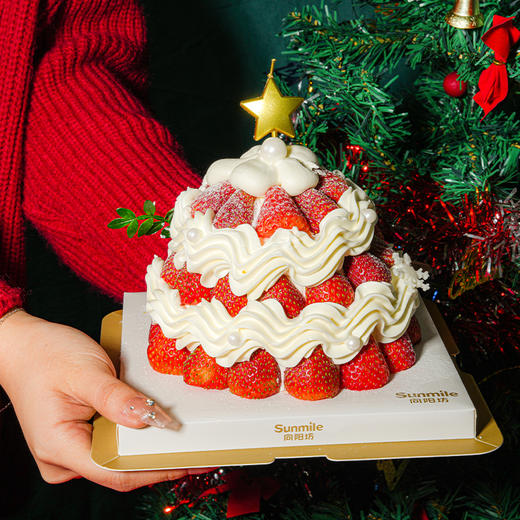 草莓雪山 （5寸） 商品图1