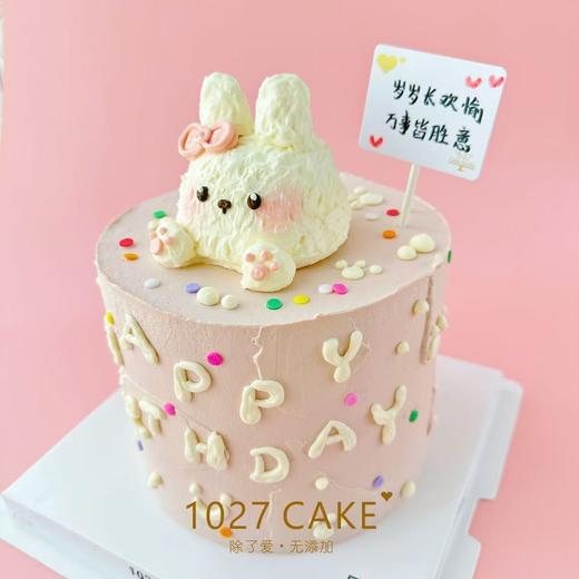 1027CAKE |  立体奶油霜 小兔子 商品图3