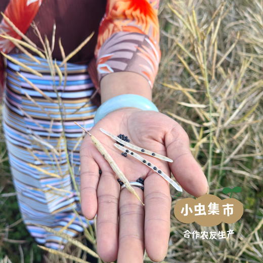 高原生态菜籽油（精炼油） 1.5L/2.5L | 合作农友生产，产自云南香格里拉，生产者：李忠青 *【公平贸易农人定价】 商品图7