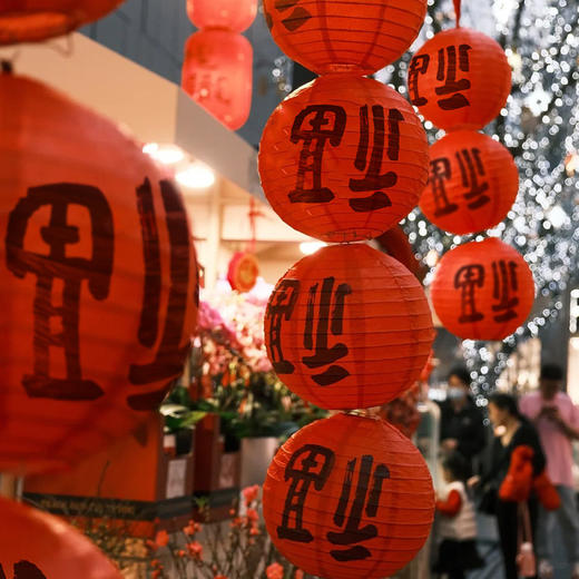 【9.9到手❗️国风喜庆红灯笼】喜气洋洋过春节，灯笼结彩迎新年！纸灯笼挂饰2025蛇年新款国庆过年场景布置福字春节装饰品 商品图2
