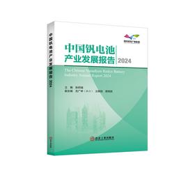 中国钒电池产业发展报告2024/张邦绪
