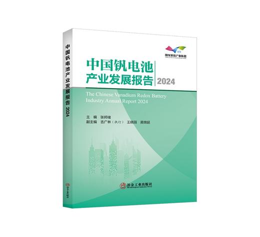 中国钒电池产业发展报告2024/张邦绪 商品图0