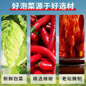 食光好忙辣白菜 100g*5袋装 韩国风味香辣白菜即食下饭菜咸菜酱菜  /粮油调味 /调味品 /复合香辛料
