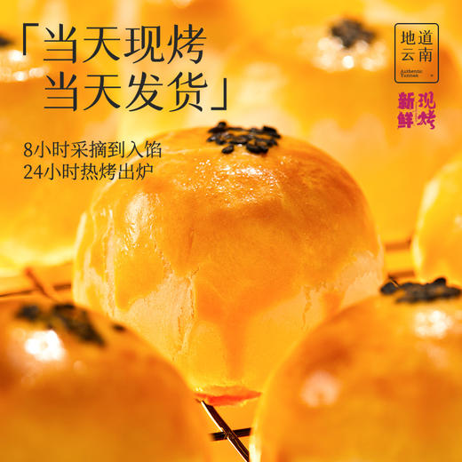 现烤玫瑰蛋黄酥8枚装 云南美味零食小吃玫瑰饼干糕点 商品图7