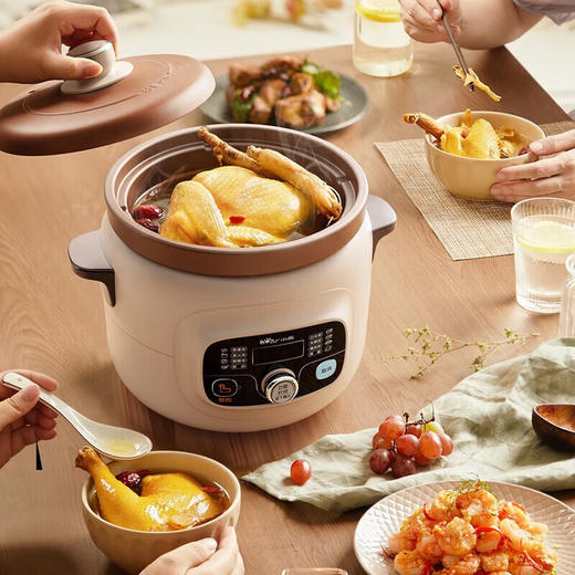 【安达联帮&小熊&仅限快递】电炖锅DDG-D40X9（厂家直发） 商品图0