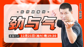 【12月21日】劲与气