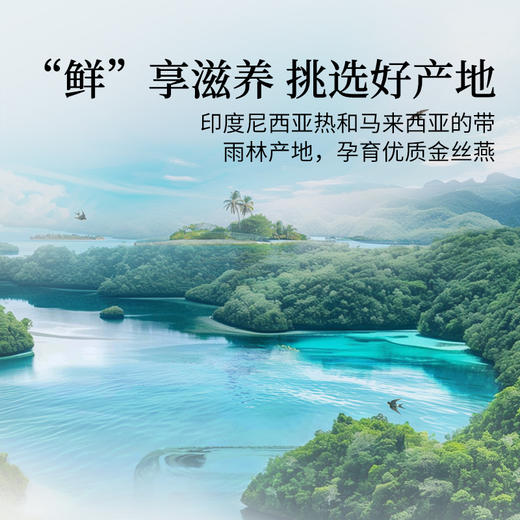 【正宗同仁堂品牌】北京同仁堂 鲜炖燕窝-195克（65克×3）SY 商品图6