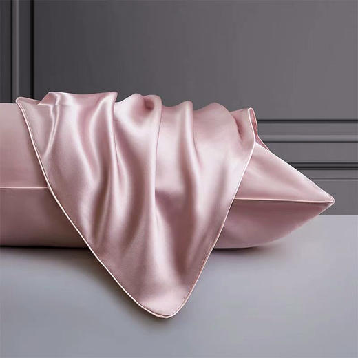 桑蚕丝枕套 【正面：100%桑蚕丝（长丝） 背面：100%莱赛尔天丝】 商品图2