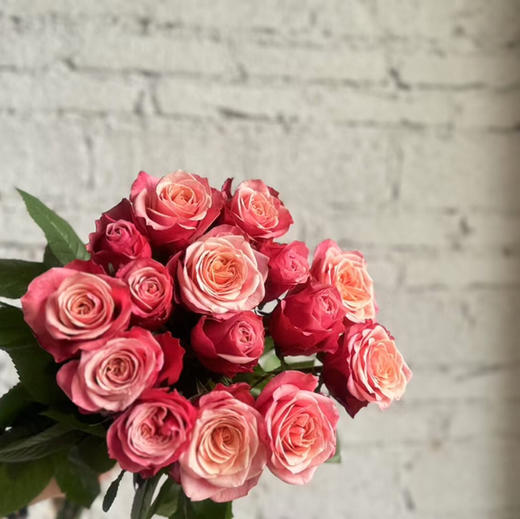 玫瑰.闺蜜 商品图1