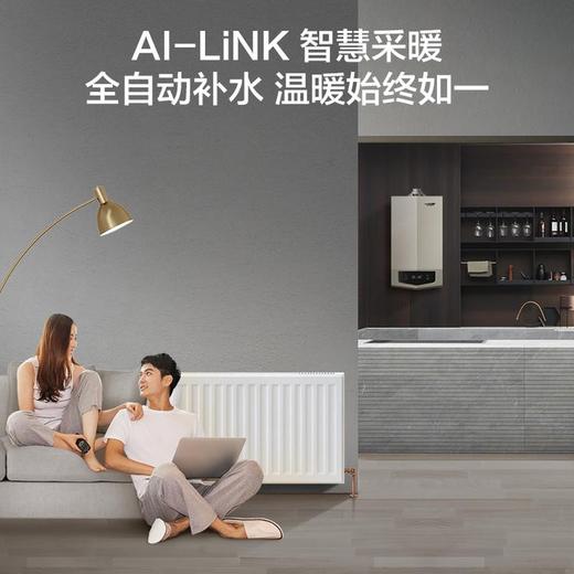 【LL1GBQ33-E11】A.O.史密斯零冷水型全预混冷凝采暖炉 商品图1