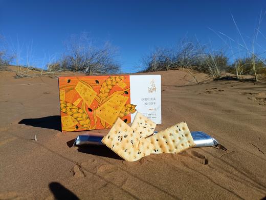 红光头面粉苏打饼干 240g 商品图1