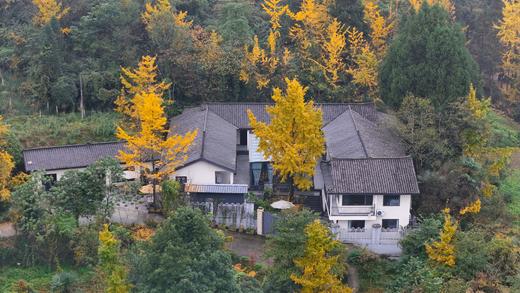 【团建优选-青城山300号院】4999元=15房包院，泰安古镇旁、青城后山景区，避暑、银杏lsqc 商品图4