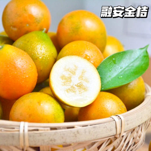 【融安金桔】新鲜金桔！第三代脆蜜金柑个大肉厚，入口化渣，纯甜不麻嘴，从皮甜到心。不涩口，果皮香甜滑脆、 肉质细腻脆甜!! 商品图2