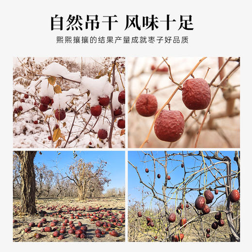 有机冬月吊干枣红枣特级新疆特产新枣子枸杞泡茶煲汤和田大枣干货 商品图2