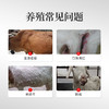 兽用牛羊结节康全身疙瘩起痘口蹄溃烂消瘦反刍动物孕畜可用 商品缩略图1