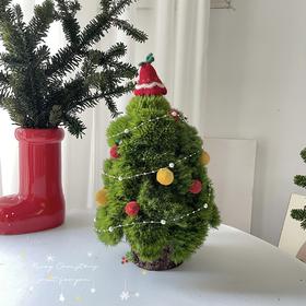 「 圣诞节限定 」圣诞树A款