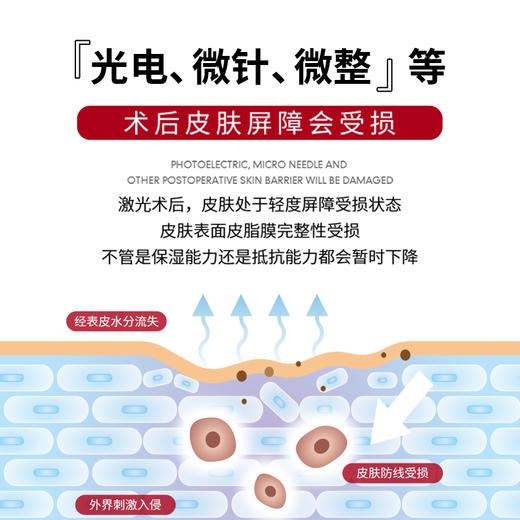 【买一发三】惜美时医用重组III型人源化胶原蛋白敷料（面膜） 商品图2