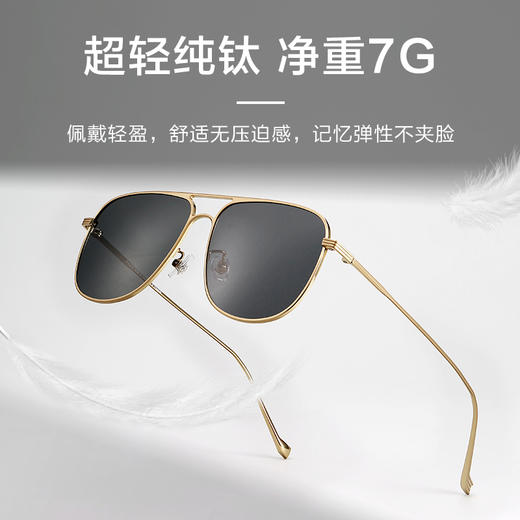 普莱斯5186 纯钛 偏光太阳镜 男款 商品图3