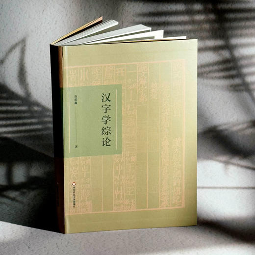 汉字学综论 詹鄞鑫 汉字学研究 汉字起源 现代汉语应用 商品图3