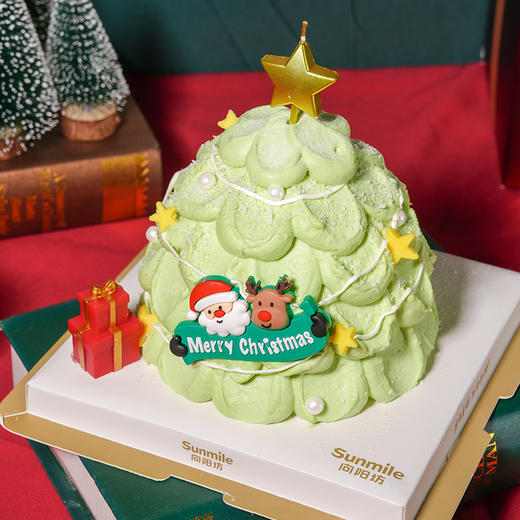 圣诞许愿树 （5号） 商品图2
