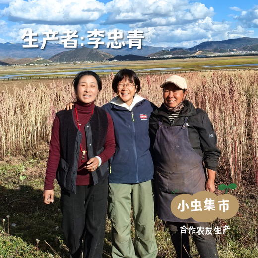 高原生态白芸豆 500g/袋 | 合作农友生产，产自云南香格里拉，生产者：李忠青＆【公平贸易农人定价】 商品图4