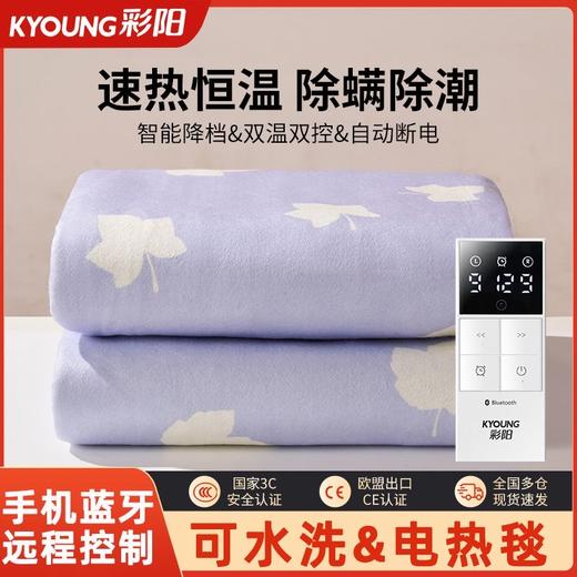 【温暖入睡❗️彩阳可水洗&电热毯】四层锁温技术，内部热传导形成循环暖流，供暖均匀持久，单人调温电加热垫宿舍毛毯双人毯 商品图0
