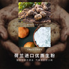风车荷兰风车牌生粉250g土豆马铃薯淀粉勾芡水晶饺子肠粉太白粉 /粮油调味 /烘焙原料 /烘焙粉 商品缩略图1