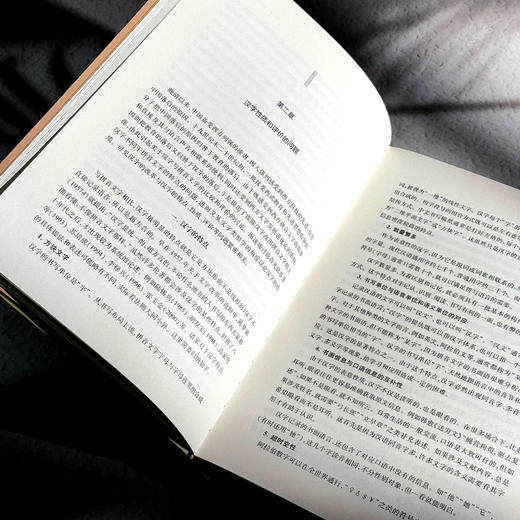 汉字学综论 詹鄞鑫 汉字学研究 汉字起源 现代汉语应用 商品图9