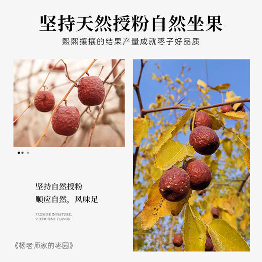 有机冬月吊干枣红枣特级新疆特产新枣子枸杞泡茶煲汤和田大枣干货 商品图1