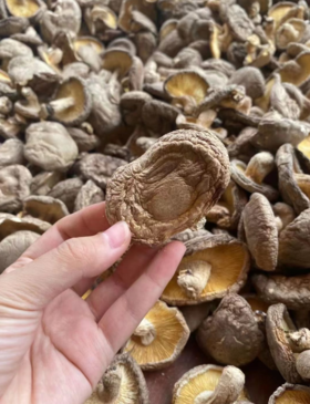 丑香菇