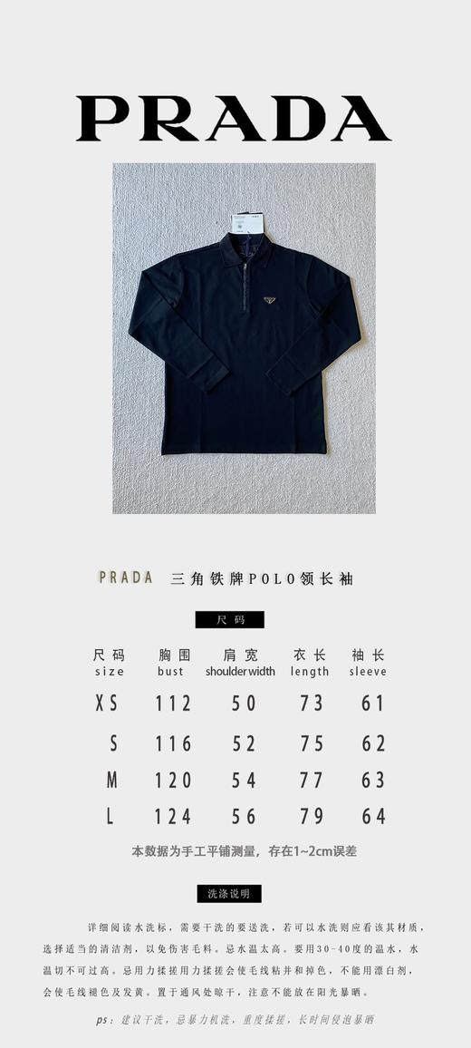 P家 铁牌翻领Polo长袖（JN) 商品图4