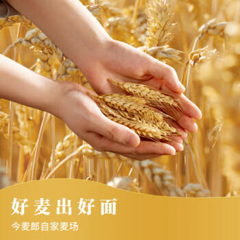 今麦郎方便面整箱批发 桶面泡面弹面 经典红烧牛肉味宿舍零食110g*12桶 /粮油调味 /方便食品 /方便面 商品图2