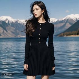 【特殊价】奢姿2024年冬季新款大码女装圆领休闲裙子胖妹妹针织假两件连衣裙9844827549