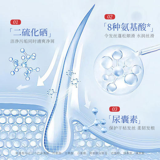 【轻松拥有飘逸秀发】韩伦美羽二硫化硒去屑洗发露 清爽控油 专研净屑 抚平毛躁 持久留香 300ml/瓶 商品图3