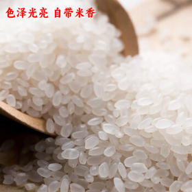 五米常香 东北珍珠米 东北大米  家庭装 粳米50斤 /粮油调味 /米 /珍珠米