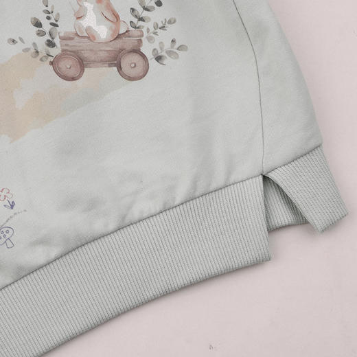 棉果果春季新品商场同款女童小清新小毛圈圆领套头卫衣M122180225083 商品图2