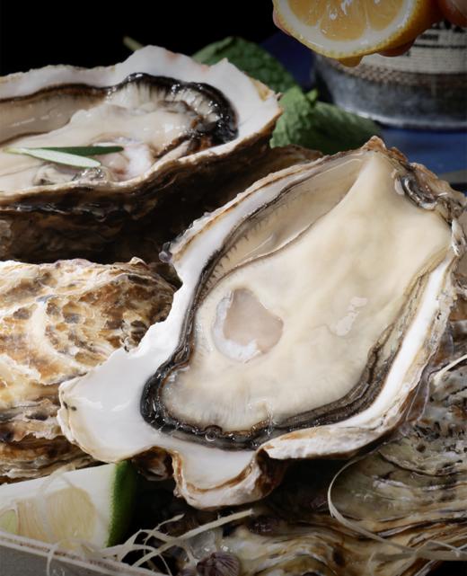 正宗乳山蚝王 | 精选鲜活肥美生蚝 6-8两/只 无污染海域养殖 蚝肉饱满有弾性 口感嫰滑鲜美 顺丰鲜活直达 生蚝 商品图3