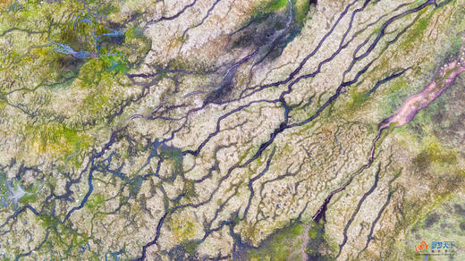 5月29日【四川】俄木塘花海•扎尕那•莲宝叶则•神座8天摄影团 商品图7