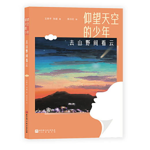 仰望天空的少年:去山野间看云 商品图0