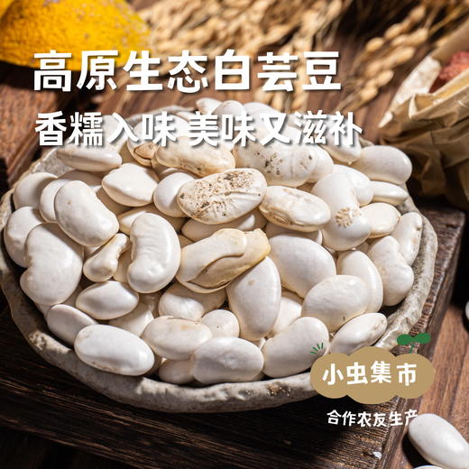 高原生态白芸豆 500g/袋 | 合作农友生产，产自云南香格里拉，生产者：李忠青＆【公平贸易农人定价】 商品图0