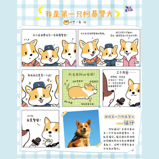 《童话王国·美丽故事绘本》2025年12期征订（共10本） 商品图6