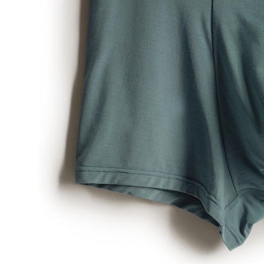 寓物 60s莫代尔男士内裤3条装 商品图4