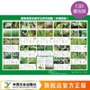 蔬菜病害诊断手记系列挂图（叶菜类、茄果类、瓜菜类、马铃薯）【官方正版，可开发票，下单时留开票信息和电子邮箱】 商品缩略图0