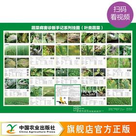 蔬菜病害诊断手记系列挂图（叶菜类、茄果类、瓜菜类、马铃薯）【官方正版，可开发票，下单时留开票信息和电子邮箱】