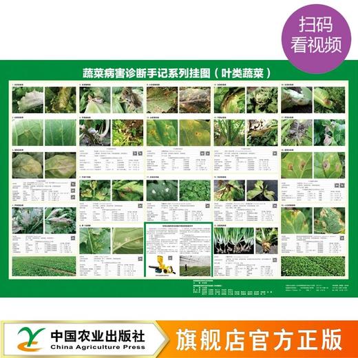 蔬菜病害诊断手记系列挂图（叶菜类、茄果类、瓜菜类、马铃薯）【官方正版，可开发票，下单时留开票信息和电子邮箱】 商品图0