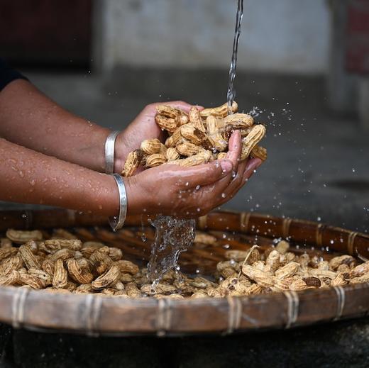 云南花生500g 土壤有机含量高 手工采收 自然日晒 甘香回甜 商品图5