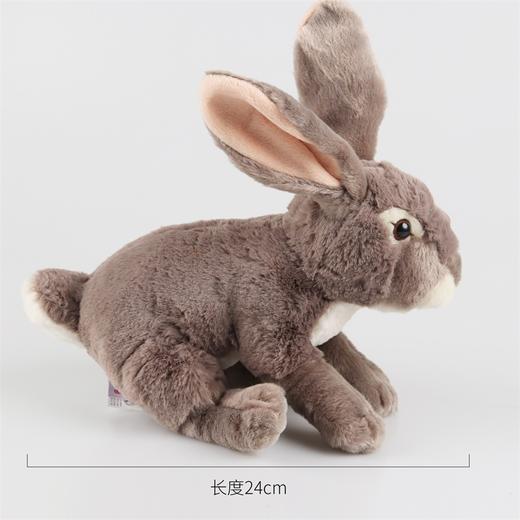 国家地理 仿真动物毛绒玩偶玩具公仔长耳大野兔礼盒 商品图3