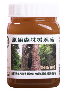 【赑隆】原始森林树洞蜜500g/瓶
