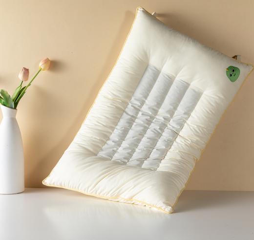 【远梦】青少年决明子成长枕 商品图0